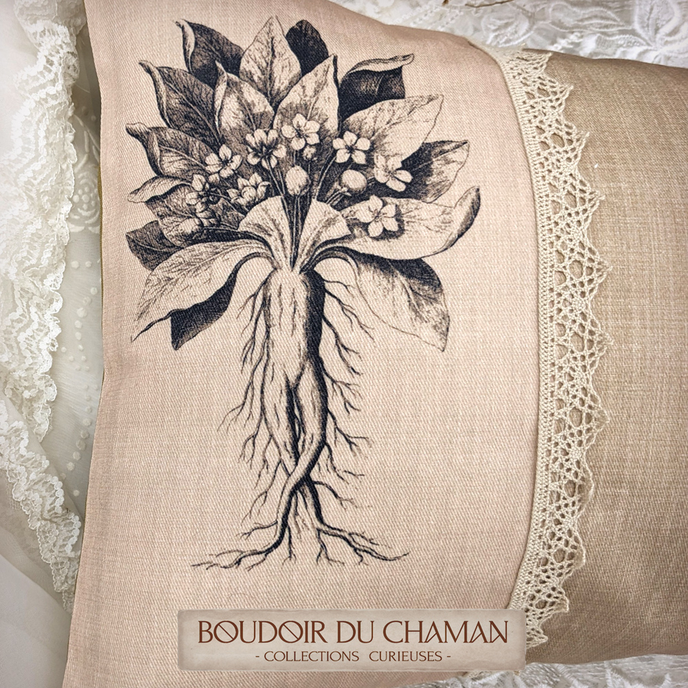 coussin engrais pour mandragore2