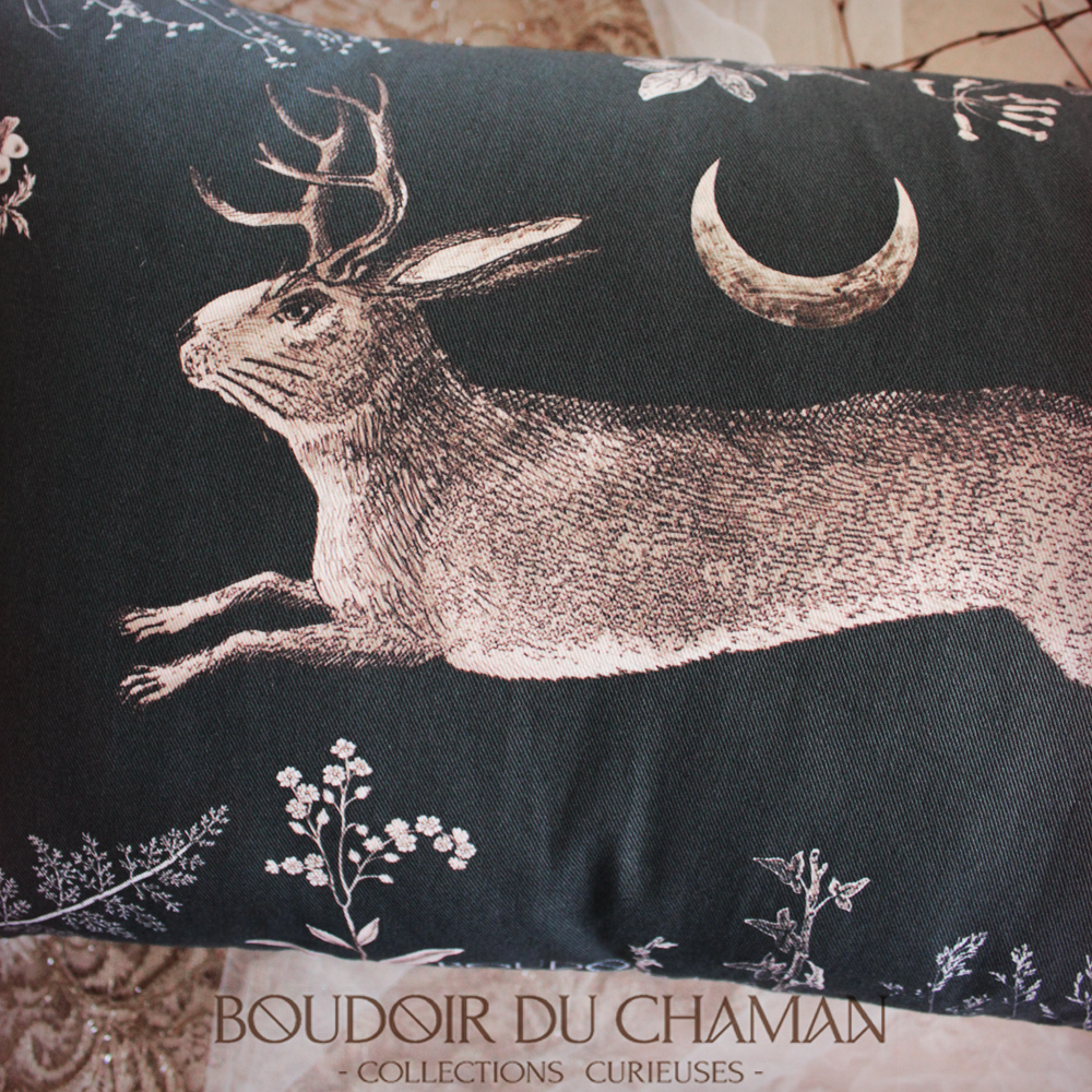 coussin esprit d'eostre2