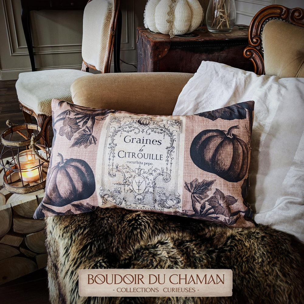 coussin graines de citrouille4